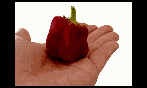 and now for something completely different GIF