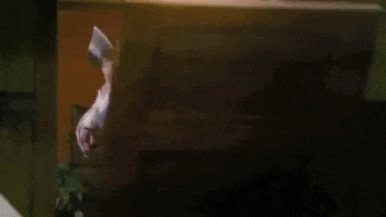 Will Ferrell GIF