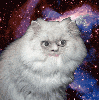 cat in space gif
