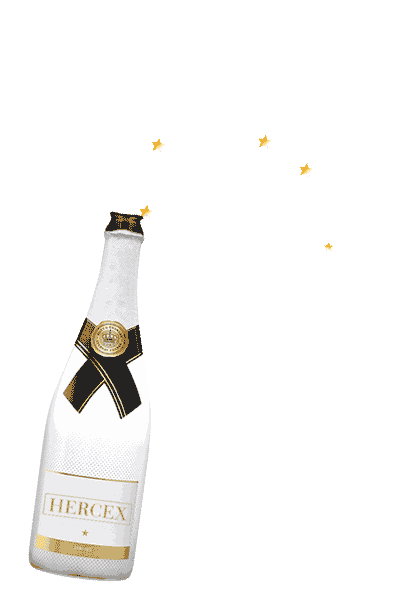 Cheers Champagne Sticker by Hercex