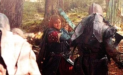 the lord of the rings elise GIF