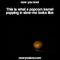 Featured image of post Popcorn Kernel Popping Gif