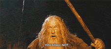 the lord of the rings no GIF