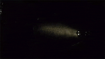 flashlight boogeyman GIF by Digg