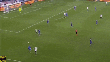 navijacnica #draxler #germany #euro #euro2016 GIF