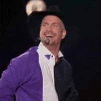 country music concert GIF