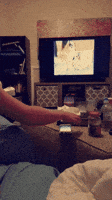 cat spy GIF