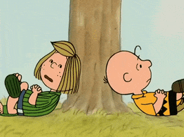 Charlie Brown Cartoon GIF by Peanuts