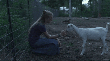 200.gif?cid=fc005b08f69f2e451e1fd2288a8ae41d14243f1afa7e8402&rid=200.gif&ct=g