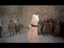 pk120360  GIF