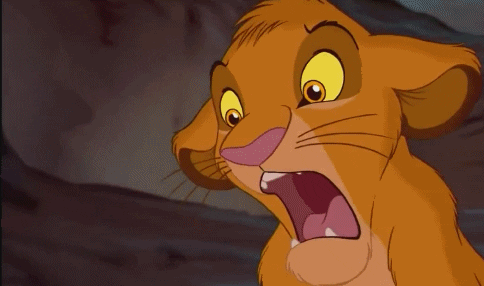 Une situation, un gif - Page 31 Giphy