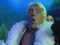Ric Flair Woo GIFs - Find & Share on GIPHY