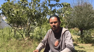 baseline  GIF