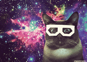 Galaxy Cat GIFs - Find & Share on GIPHY