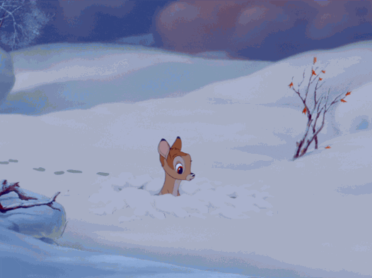 Baby Animal Snow Gif By Disney Find Share On Giphy