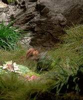 jim henson creatures GIF by SYFY