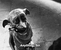 Dobby GIFs - Get the best GIF on GIPHY