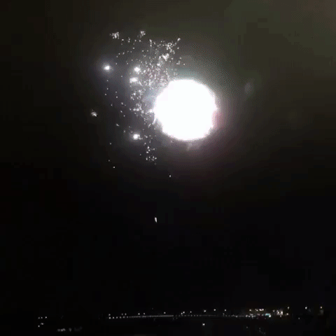 adamtinworth  GIF