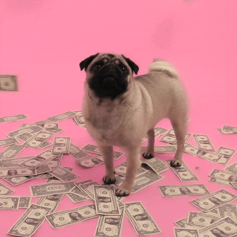 giphy.gif?cid=790b76111b9ef9437f86b1e10e