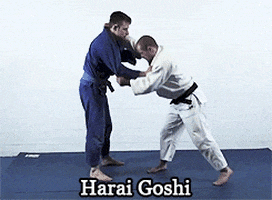 Harai Goshi GIFs - Find & Share on GIPHY