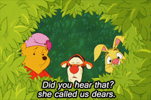 disney winnie the pooh
