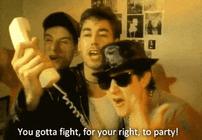 beastie boys party GIF