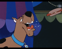 Hot Dog Eating GIF
