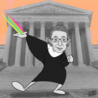 supreme court book GIF