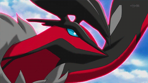 Pokemon Y And X Gifs Get The Best Gif On Giphy