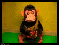 applause gif animated ape