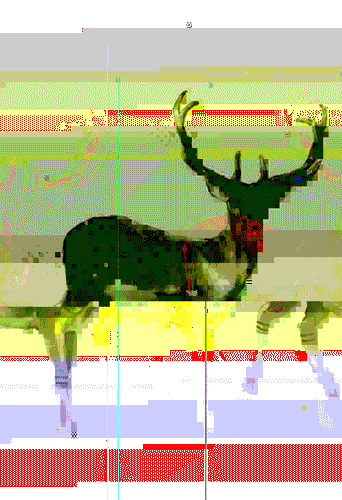 new media glitch GIF by G1ft3d