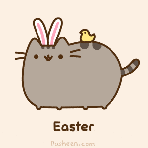 pusheen rabbit