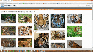 debbiemchorney photo attribution GIF