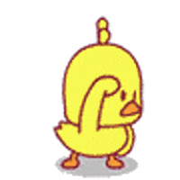 200w.gif