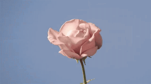 timelapse moving pictures GIF