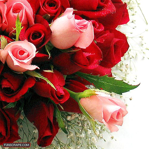 Red Rose Bouquet Gif