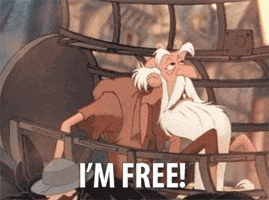 The Hunchback Of Notre Dame Jail GIF