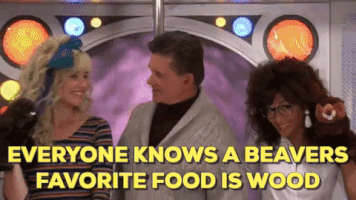 30Rock gif robin jessica himym GIF
