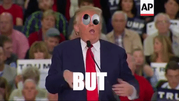 Donald Trump GIF