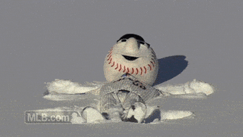 New York Mets GIF by MLB