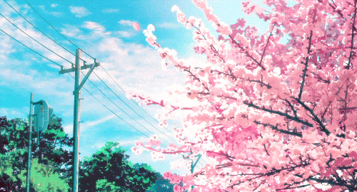 ArtStation  20x Anime Style Sakura Tree Landscapes  Artworks