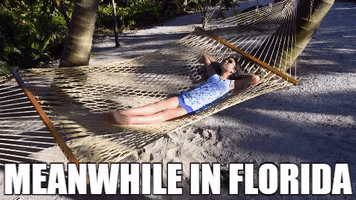 Travel Vacation GIF by VISIT FLORIDA