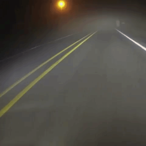 Scared On The Road GIF by Four Rest Films
