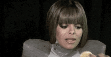 real housewives of orange county chips GIF