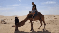 Camelback GIFs - Get the best GIF on GIPHY