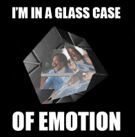 glass case of emotion