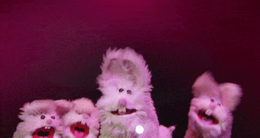 muppet show bunny GIF