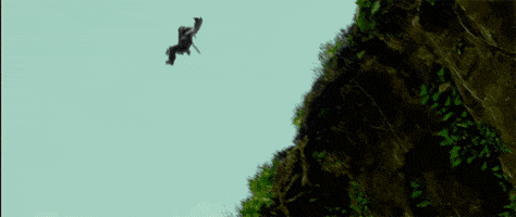 Featured image of post Jumping Off A Cliff Gif Anime Cliff jumping extreme at sunset