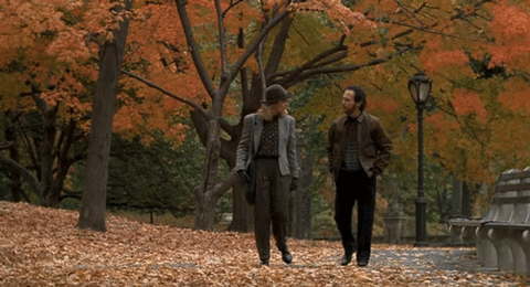 When Harry Met Sally Fall GIF - Find & Share on GIPHY