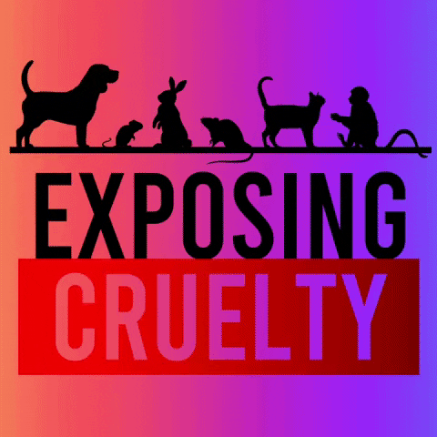 Cruelty Exposing GIF by ExposingCruelty